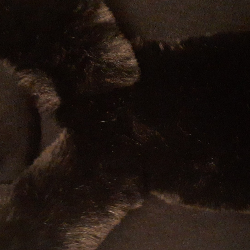 Black Faux fur trimed vest with hood and fringe.
